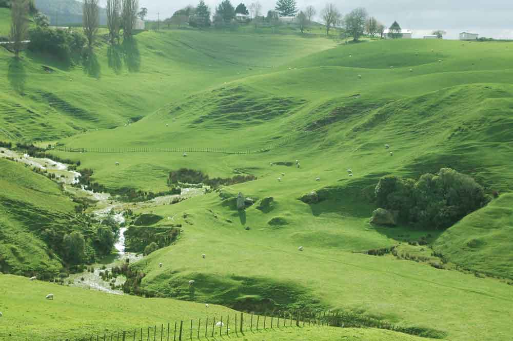 92 - Nueva Zelanda - Matamata, tierra de los hobbits